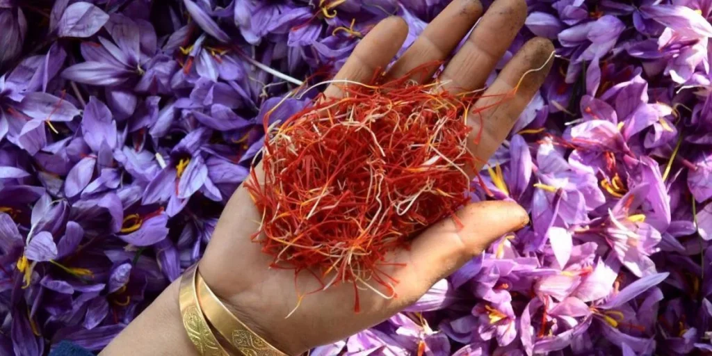 Aurul Roșu: Dezvăluind Magia Șofranului