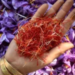 Aurul Roșu: Dezvăluind Magia Șofranului