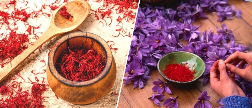 De la leacuri antice la bucătăriile moderne